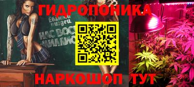 сатива Кулебаки
