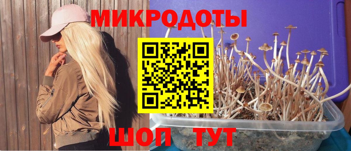 Галлюциногенные грибы MAGIC MUSHROOMS  Псилоцибиновые грибы мухоморы  продажа наркотиков  Ирбит  Вход с VPN 