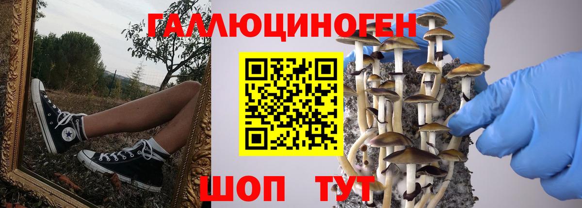 Галлюциногенные грибы Ирбит